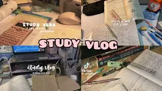 STUDY VLOG| Tổng hợp những video học bài chill 🌷