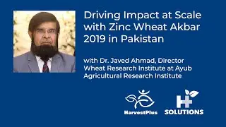 Driving Impact at Scale with Zinc Wheat Akbar 2019 in Pakistan