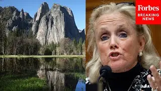 Debbie Dingell Warns Of 'Unprecedented Biodiversity Crisis', Touts Success Rate Of ESA