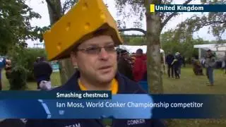 Conker World Championship 2013: British sport of conker-fighting is a schoolboy classic