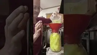 Как консервировать ананасы. Простой и безопасный рецепт.