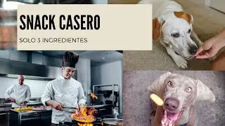 😋Snack casero para perro SOLO 3 INGREDIENTES😋