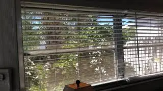 3675 gulf blvd unit 1