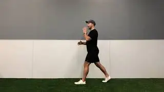 BW Reverse Lunge