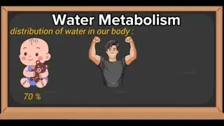 4. Water Metabolism 1 Explained in Arabic