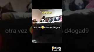video viral drogadicto.