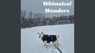 Joyful Jumps