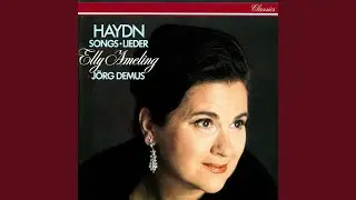 Haydn: Despair, Hob. XXVIa:28