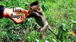 Pity Lizza Hungry Food, Baby Asks Mr. Monk For Food Very Brave