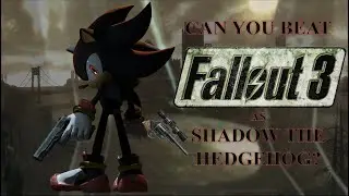 Сможете ли вы пройти Fallout 3, играя за ежа Шэдоу?