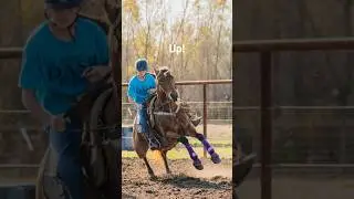 up!!#horses #barrelracing #cowgirls #tough
