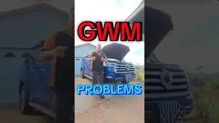 GWM CANNON COMMON PROBLEMS #GWM #oilleak #pseries #cannon #mechanic #cartrouble #4x4 #offroad