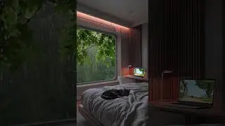 Cozy Rain Window 🌧️ | Cat Sleeping + Calm Night Vibes (Loop)