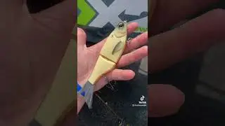 Best Glidebait Ever Made?