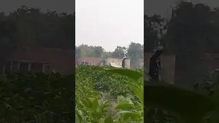 kheti kisaani ! खेती किसानी  #viralreels #shortvideo #viralvideo #reels