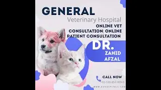 Online Vet Consultation | Online Patient Consultation :Top 5 (2021)