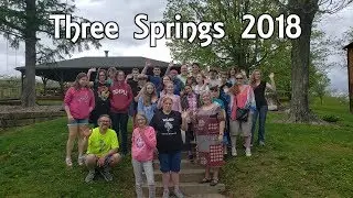 Three Springs 2018