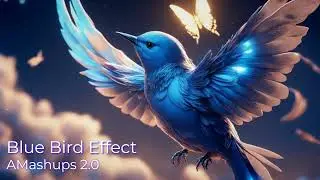 Blue Bird Effect - AMAshups 2.0 - Aamir Merani