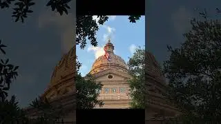 Austin Vibes: A Picture-Perfect Day#austin #texas #nature #Austinsecretariat #secretariat #usa