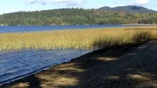 Middle Saranac Lake Beach Morning