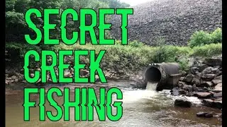 Secret Creek Fishing
