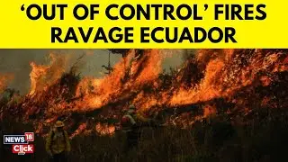Wildfires Ravage Quito: Citizens Unite to Combat Fires | Ecuador Crisis Update | Ecuador Under Fire