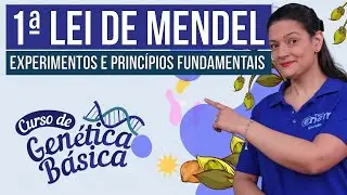1ª LEI DE MENDEL: experimentos e princípios fundamentais | Curso de Genética Básica | Biologia Enem