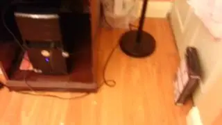 Compact Fluorescent Lamp Explodes