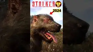 ☢️ STALKER 2 Blind Dog&rsquo;s New AI Is Incredible! #Shorts #Stalker2 #games #stalker