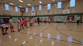 2025 Andrea Josephson Tigers Introductions