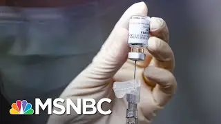 'It's A Flu, It Ain't A Covid!' How To Fight Vaccine Hesitancy | The 11th Hour | MSNBC