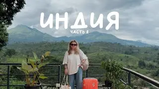 ИНДИЯ 2.0 океан. чайные плантации. как организовать путешествие?
