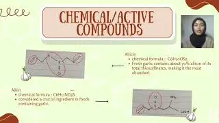 Video Presentation of Organic Chemistry on Garlic AS1203K