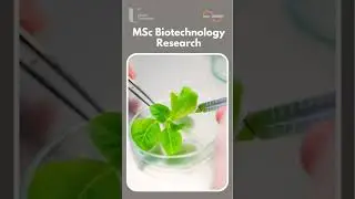 MSc Biotechnology Research #biotechnology #biology #bioscience #research #ukstudyvisa #biochemistry