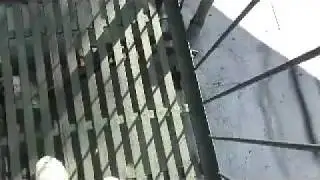 FIRE ESCAPE REPAIRS INSPECTIONS SAN FRANCISCO SF
