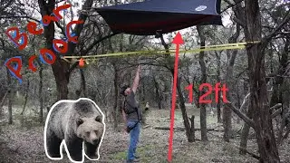 Hammock Camping in Grizzly Country