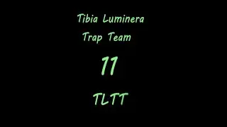 Tibia Luminera Trap Team 11 (TLTT)
