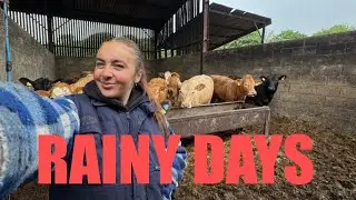 One Wet Week on the Farm | Supporting British Farming Through It All!
