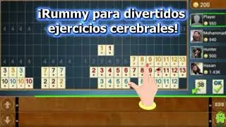 Rummy - Offline Board Game