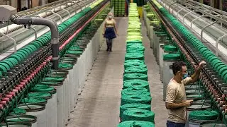 Grupo EuroFios: Negocios sustentables, para el bien de todos.