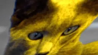Egyptian Cat Cult in America