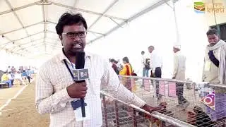 मीट या अंडा उत्पादन के लिए मुर्गीपालन ऐसे शुरू करें Poultry Farming Poultry breeds Murgipalan Centra