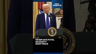 Trump Putin Phone Call | Donald Trump Says Putin, Zelenskyy Want Peace, Negotiation To End War