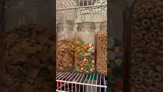 ComSaf Airtight Glass Jars for cereal #amazonfinds #amazon #glassjars #containers #organization #fun