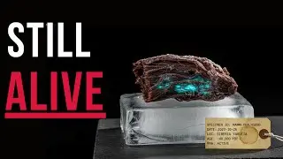 The Only Fossil That PRESERVED Living Genes | 40,000-Year-Old Mammoth RNA