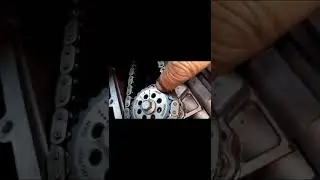 MG 3 puesta a punto de cadena de distribución