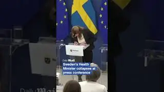 Sweden's Health Minister collapses at press conference
