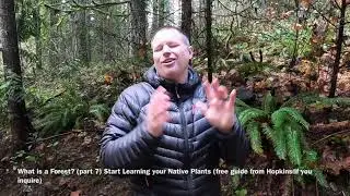 Hopkins Native Plant ID Guides (ask for free e-copy from Hopkins) - What is a Forest (part 7)