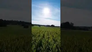 I CAN FLY! FPV First Flight Emotions 🥹 with DJI Googles 2 #dji #avata #googles2 #shorts