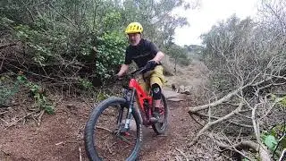 Btt- Trail dog Sintra